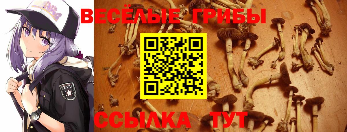 Псилоцибиновые грибы Cubensis  даркнет сайт  Егорьевск  Вход с VPN  Псилоцибиновые грибы мухоморы 